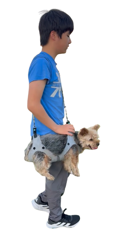 Carrying dog in PupSling
